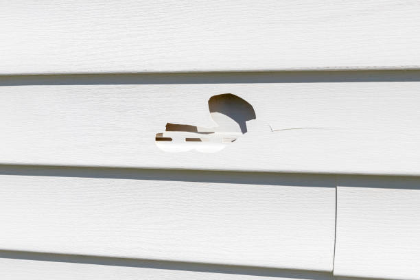 Best Carpet Removal and Disposal  in Fallsburg, NY